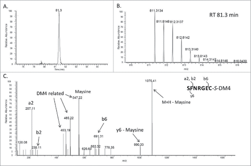 Figure 6. (A) Extracted ion chromatogram (XIC) showing the peak corresponding to SFNRGEC peptide directly linked to DM4 through a trisulfide bond (ADC lot III). (B) MS spectrum of SFNRGEC peptide trisulfide-linked to DM4. (C) MS/MS spectrum of SFNRGEC peptide trisulfide-linked to DM4.