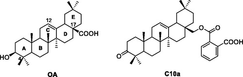 Figure 1. The chemical structures of OA and lead compound C10a.