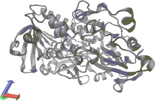 Figure 38 The protein 3QVR.Citation216*,Citation217*,Citation220