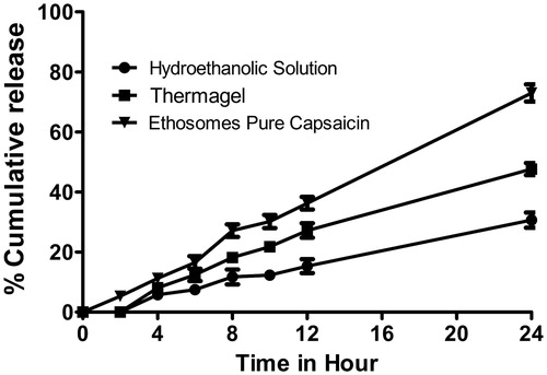 Figure 4. Permeation study of various formulations. Ethosomal capsaicin shows a better permeation profile than other formulations in 24 hours study.