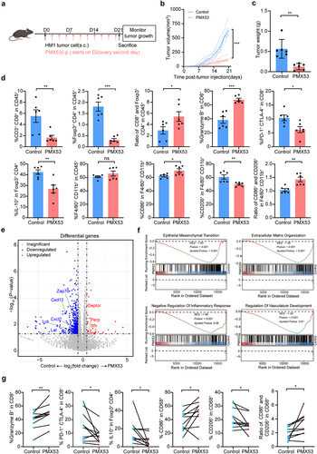 Figure 3. Inhibition of C5aR1 retards tumor growth and reactivate anti-tumor immunity.