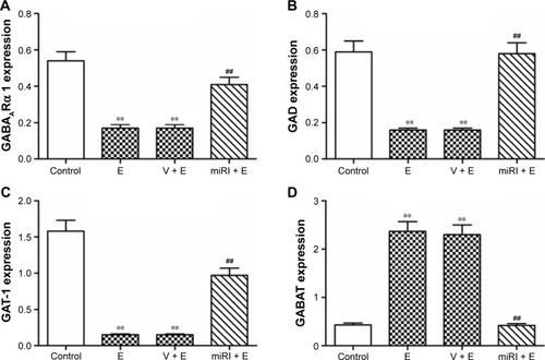 Figure 5 miR-210 inhibitor prohibited epilepsy-induced changes of GABA-related mRNA expressions.