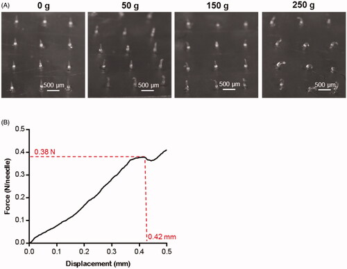 Figure 3. The mechanical properties of the blank DMNP. (A) Morphological changes of DMNP (4 × 5) loaded with different mass weights (0, 50, 150, and 250 g). Scale bar, 500 μm. (B) Representative pressure-displacement curve of the DMNP (2 × 2) measured by texture analyzer.