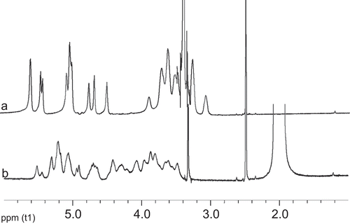 Figure 2.  1H NMR spectra of pullulan (a) and PA (b) (DMSO-d6).