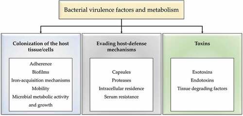 Figure 4. Bacterial virulence factors and metabolism.