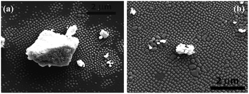 Figure 11. SEM micrograph of (a) nanoislands around a gadolinia-doped ceria (GDC) particle after annealing at 1100 °C for 5 h with 10 °C min–1 heating and 1 °C min–1 cooling rates; and (b) smaller powder particles with relatively broader nanoisland coverage after heat treatment. Images reproduced with permission from [Citation71].
