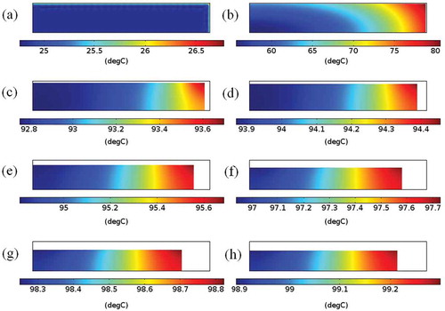 Figure 5. The temperature distributions inside the banana sample during drying with an air temperature of 100°C at different elapsed times; (a) 0 s, (b) 200 s, (c) 1000 s, (d) 2000 s, (e) 4000 s, (f) 9000 s, (g) 14000 s, (h) 18000 s.