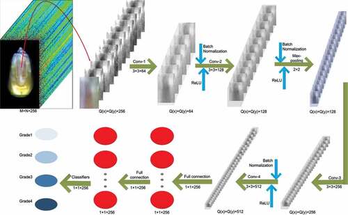 Figure 4. The architecture of the proposed CNN.