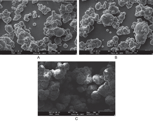 Figure 6 Scanning electron microscopy of fat powder particles containing: A = Safflower oil; B = Flax seed oil; C = Bakery fat with Skim milk powder; Magnification 500×. For formulation details see Table 2.