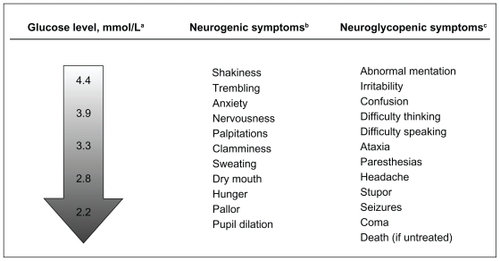 Figure 1 Hypoglycemia: Critical point of care in diabetes management.Citation7 Copyright 2006. Reprinted with permission from the American Diabetes Association, Briscoe VJ, Davis SN. Hypoglycemia in type 1 and type 2 diabetes: Physiology, pathophysiology and management. Clin Diabetes. 2006;24:115–121.