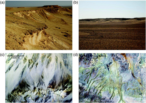 Figure 5. Examples of landforms in the study area: (a) escarpments at the front of the cuestas in Naqb Rala (El Taqa Plateau); (b) the floor of the Deir El Munassib Depression; peripheral scarps can be seen on the horizon; (c) wadi-fan system: the sediments are transported from South to North, forming coalescent cones; (d) network of wadis along the border of Point 105 (Quota 105).