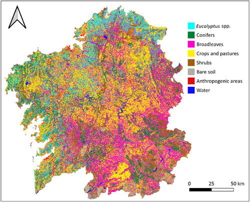 Figure 8. Land cover map of Galicia 2019 (LCMG19).