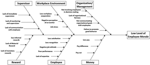 Figure 1. Causes of poor employee morale according to literature