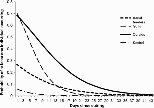 Figure 2. Effect of time since cutting on the likelihood of recording four functional groups of birds. All relationships shown were significant (see Results) and the back-transformed parameter estimates of those relationships are plotted here over the range of time since cutting from which data were recorded.