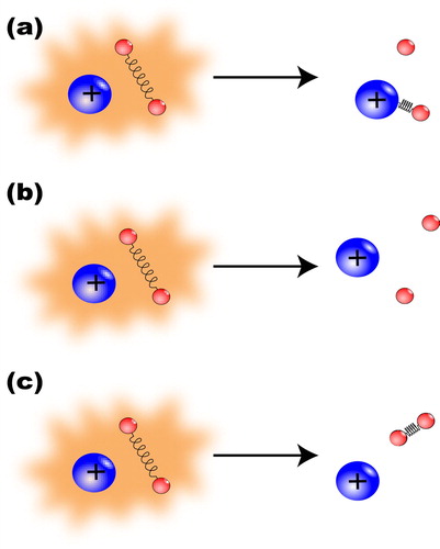 Figure 4. A sketch of the dynamics of an atomic ion colliding with a molecule. Panel (a) stands for the molecular ion formation process, panel (b) for the dissociation of the molecule and panel (c) represents the vibrational quenching of the molecule.