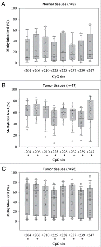 Figure 2. Box plots of methylation levels of 8 FLT4 CpG sites determined by pyrosequencing methylation assay. (A) Normal samples. (B) OSCC samples for internal validation. (C) OSCC samples for external validation. In each box plot, the whiskers represent the 10th and 90th percentiles, the lower and upper limits of the box indicate the 25th and 75th percentiles. An asterisk mark (*) indicates that the difference between normal and tumor samples reaches statistical significance.