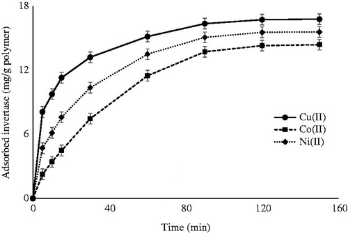 Figure 6. Effect of adsorption time on invertase adsorption. pH 5.0; invertase concentration: 1.5 mg/mL.