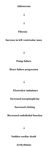 Figure 1 Pathophysiology of aldosteronone in heart failure.
