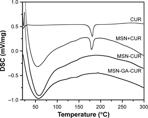 Figure 5 DSC curves of CUR, physical mixture of MSN and CUR (MSN+CUR), MSN-CUR and MSN-GA-CUR.Abbreviations: CUR, curcumin; DSC, differential scanning calorimetry; GA, glycyrrhetinic acid; MSN, mesoporous silica nanoparticle.