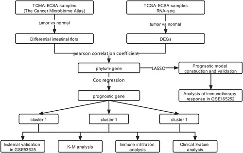 Figure 1. Study flow chart.