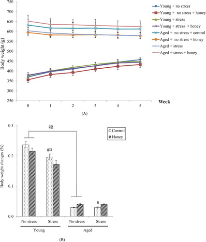 Figure 2. Effects of age, stress, and honey treatment on (A) body weight and (B) percentage of body weight changes. The values are expressed as mean ± S.E.M. Significant main effects of age (§§P < .01). Significant main effects of stress (#P < .05). Significant difference between no stress and stress control (¤P < .05).