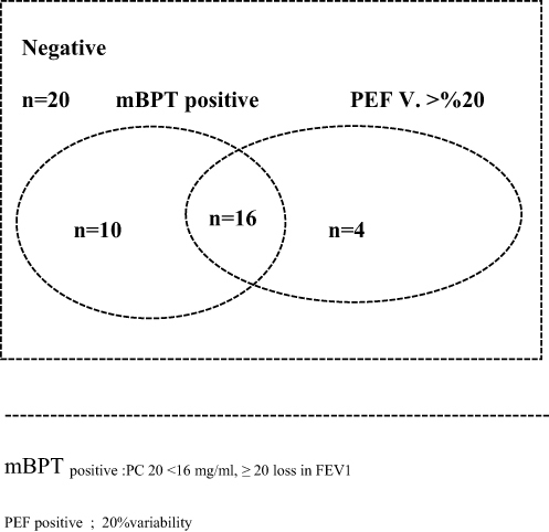 Figure 2 Results; BPT alone was positive in 10 of 30 asthma cases. Both mBPT positivity and PEF variability were positive in 16 cases. Only four out of 30 patients were diagnosed with asthma based on positive PEF variability. 20 patients were evaluated as non-specific respiratory symptoms. No treatment was given. At the end of the 1st month, 17 of the 30 treated patients attended visit 2. 13 patients did not attend visit 2. Treatment response of 17 patients was evaluated.