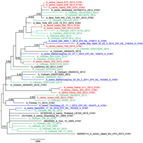 Fig. 3 Phylogenetic tree for the full-length neuraminidase of H1N1pdm09 viruses isolated in a slaughterhouse in Vietnam in 2013–2014.The trees were constructed with PhyML. Branch support aLRT statistics were shown at major nodes with values larger or equal to 0.8. GenBank accession numbers of retrieved sequences are indicated. Red: sequences from our study; blue: sequences from Takemae et al.Citation28; green: viruses from Vietnam from other studies including H1N1pdm09 from NIHE; black: other sequences from GenBank