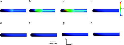 FIG. 9. Particle deposition patterns on the outer radius region of the elbow for the refined grid at low Re (100) and De (38) number for particle diameters ranging from 5.39 to 12.20 microns (a–h). Smaller particles deposit after the elbow curvature (a–c), whereas no particle deposition patterns are observed for larger particles (d–h) (>8 microns). Contours show normalized deposition rate.