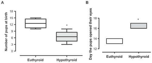 Figure 1 Indirect evaluation of mother’s thyroid state (number of pups at birth, panel (A) and the indirect evaluation of the neurodevelopment of pups (day the pups opened their eyes, panel (B). *P < 0.05 vs euthyroid group. U-Mann–Whitney test (n = 16).