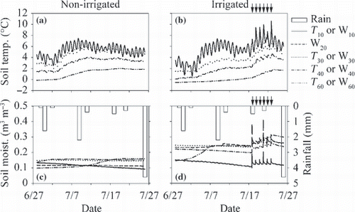 Figure 8 Temporal variation in (a) microbial respiration rate in the O-layer and the mineral soil (Rmo are indicated by circles and Rmm are indicated by triangles, (b) CH4 production rates in the O-layer and the mineral soil (circles and triangles, respectively) and (c) N2O production rates in the O-layer and the mineral soil (circles and triangles, respectively) of the non-irrigated (open symbols) and irrigated plots (closed symbols). Positive values indicate net emission and negative values indicate net consumption. Arrows indicate the irrigation events for the irrigated plot.