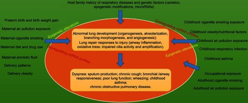 Figure 2 The origins for chronic pulmonary disease resulting from genetic and environmental factors.
