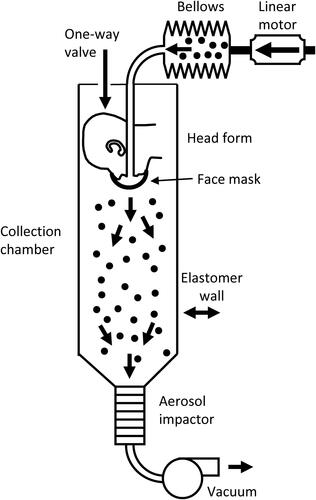 Figure 1. Cough aerosol simulator system for source control measurements. The system consists of an aerosol generation system, a bellows and linear motor to produce the simulated cough, a pliable skin head form on which the face mask, neck gaiter or face shield is placed, a 105 liter collection chamber into which the aerosol is coughed, and an Andersen impactor to separate the aerosol particles by size and collect them. More information about the cough aerosol simulator is provided in the SI.