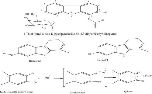 Figure 1. Fundamental active ingredients of Ph.L seeds and leaves (Abdel Aziz et al., Citation2010; Moloudizargari et al., Citation2013). General mechanism of bioreduction of Ag (I) ions to AgNPs by polyol biomolecules of plant extract (Das & Velusamy, Citation2013; Ghaedi et al., Citation2015).
