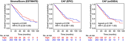 Figure 1. Stromal score and CAF in NSCLC patients (TCGA dataset).
