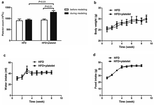 Figure 1. Platelet transfusion from wild-type C57BL/6 mice significantly increased platelet count but had no other substantial effects. (a) Platelet count before and after platelet transfusion (48 h). (b) Weekly body weight. (c) Weekly water intake. (d) Weekly food intake.