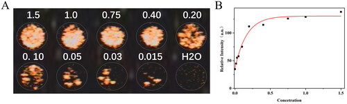 Figure 6. Evaluation of ultrasound imaging performance of PFP@miR-RGD-LNBs. (A) Ultrasound images of LNBs at different PFP concentrations in vitro. (B) Quantitative analysis of ultrasound relative signal intensity at various PFP concentrations.
