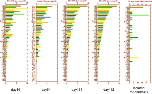 Figure 2. Analysis of the VH gene usage in the IgH repertoires and E-binding antibodies. The frequency of global VH gene usages in the repertoires obtained at days 14, 64, 181, and 412 were calculated. The frequency of VH gene usages is listed in descending order with respect to the frequency on day 412. The VH gene usages of 31 E-binding mAbs are shown.