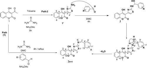 Scheme 4. A plausible mechanism for the synthesis of thiazolyl coumarins derivatives (2a-f).