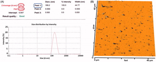 Figure 7. Particle size distribution of NPs prepared by W1/O1,2/W2 method. (A, B) The particle size distribution of NPs using DLS and AFM analysis, respectively.