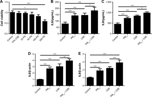 Figure 3 PM2.5 aggravated CSE-induced inflammation in 16HBE cells.