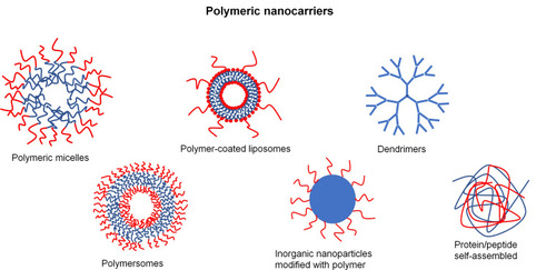 Figure 3 Schematic representation of selected polymeric nanocarriers.