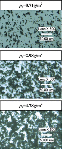 Figure 2. Pictures of the deposited dusts on the rough stainless steel plates photographed by a 3D super depth digital microscope in which the dark dots represent particles.