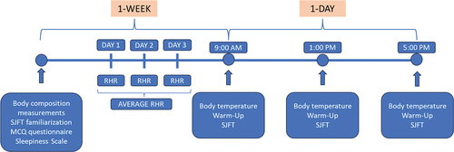 Figure 2. Special Judo Fitness Test setting.