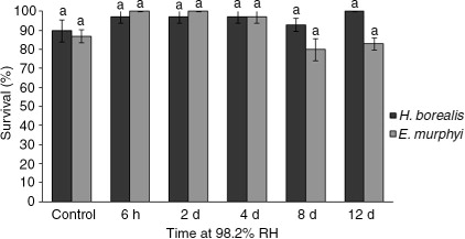 Fig. 2  Survival (%) of larvae of H. borealis and E. murphyi following exposure to 98.2% relative humidity (RH) for 6 h, 2 days, 4 days, 8 days and 12 days. Means±standard error of the mean are presented for three replicates of 10 individuals. Survival was assessed 72 h after treatment. Means with the same letter are not significantly different from the control within each species group at p<0.05 (Tukey's multiple range test).