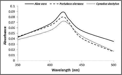 Figure 1. UV–visible spectrum for the reaction of plant extracts with AgNO3 solution.