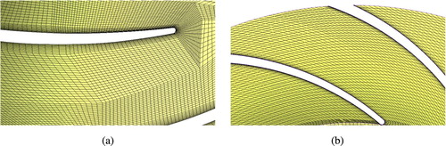 Figure 2. Partial enlargement of grid.Notes: (a): Partial enlargement of impeller grid; (b) Partial enlargement of diffuser grid.