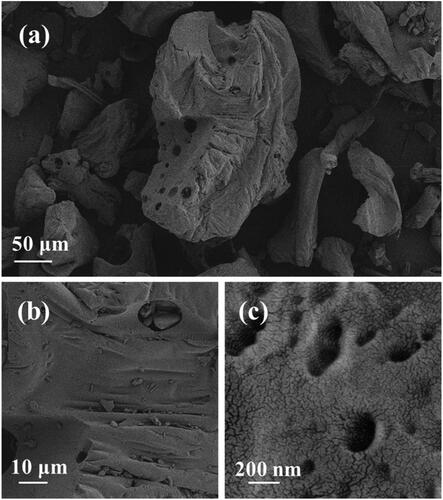 Figure 1. a–c) SEM images of the hydrogel powder at different scale.