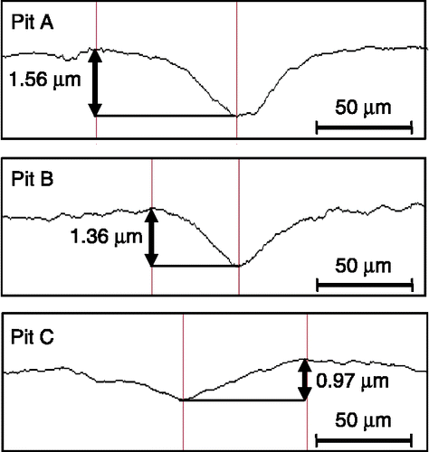 Figure 9 Profiles of pits induced by cavitation peening.
