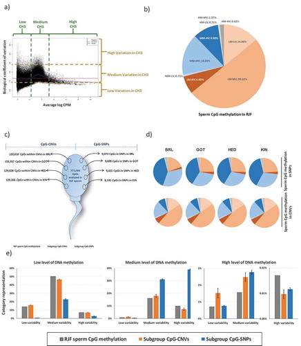 Figure 6. Association of CpG-related mutations in domesticated breeds with DNA methylation in RJF sperm. (a) Inter-individual DNA methylation variation plotted against the level of DNA methylation, measured per window, and grid representation of the division of CpGs in nine DNA methylation categories. (b) Pie representation of the number of CpGs within each DNA methylation category in sperm RJF. (c) Representation of the subgroups of CpGs that relate to mutations (CpGs or CNVs) in each domesticated breed. (d) Pie representations of DNA methylation categories of the subgroups of CpGs measured for DNA methylation in sperm RJF that relate to SNPs (CpG-SNPs) or to CNVs (CpG-CNVs) in the domesticated breeds. (e) Bar plots summarizing how levels and inter-individual variation of DNA methylation in RJF sperm associate with mutations (SNPs or CNVs) in the domesticated breeds.