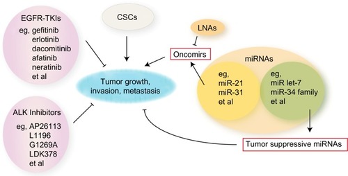 Figure 2 Schematic diagram of potential therapies combating resistance in lung cancer.
